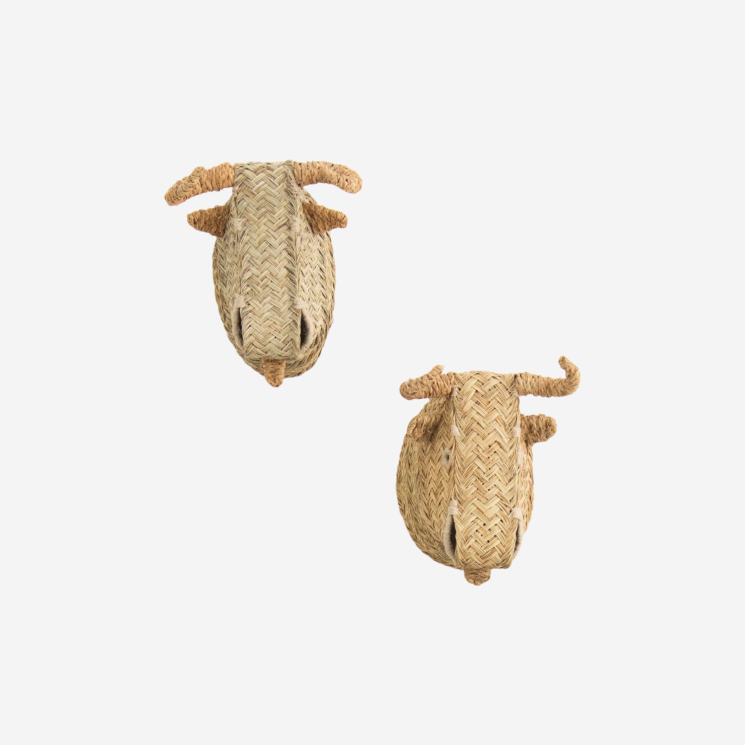 Handmade Natural Bull Heads