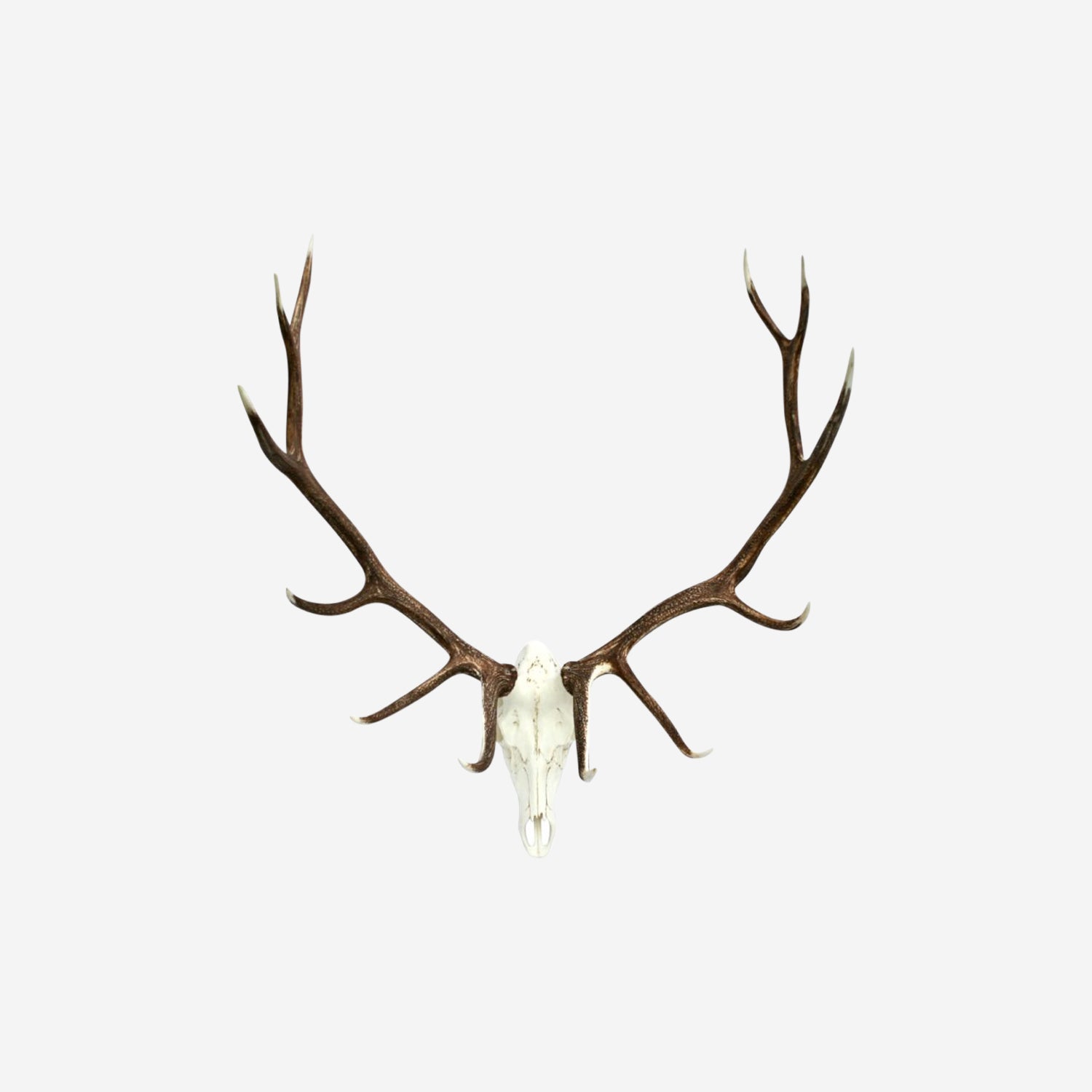 Faux Elk Mount